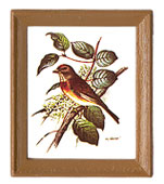 Dollhouse Miniature Framed Bird Pictures 4 Pcs